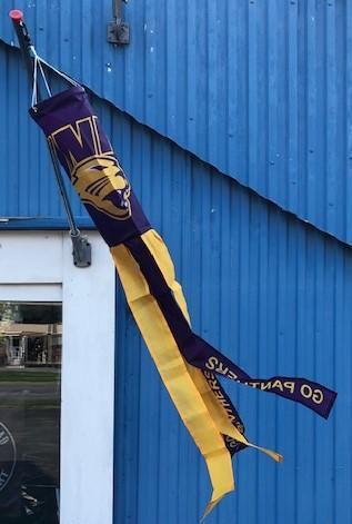 UNI Panthers Windsock 40 Inches Long 154004023 Heartland Flags