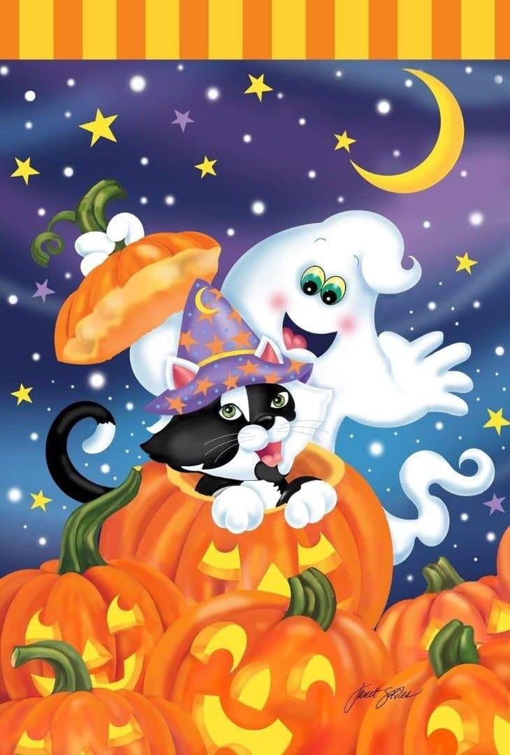 Witch Kitty Flag 2 Sided Halloween Decorative Banner 109678 Heartland Flags